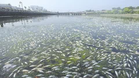 金利源，金利源净水器，净水器品牌，家用净水器品牌，净水器十大品牌，净水器代理，净水器加盟，净水器厂家，净水机，家用净水器
