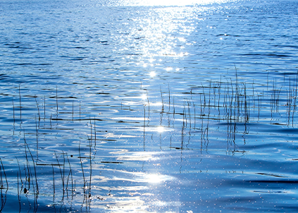 为什么要喝直饮水？我喝自来水、桶装水、瓶装水不行吗？