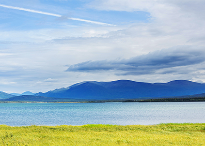 “家里的自来水含有致癌物？净水器厂家金利源：实为净水机厂家为推销产品故意为之