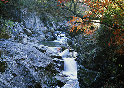 想买净水器却嫌安装太复杂？净水器哪个牌子好？