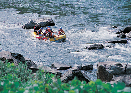 家用净水器销售火爆，高端净水器品牌金利源备受青睐