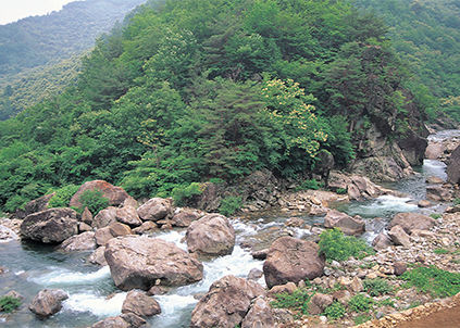 【美国新增4776例确诊病例】YQ当前，您的净水器更换了么