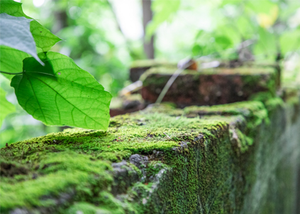 【净水器品牌】净水器品牌哪家好？需要注意的四点误区！